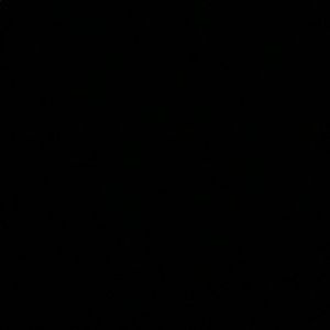 Meet your Posher, Bridgette